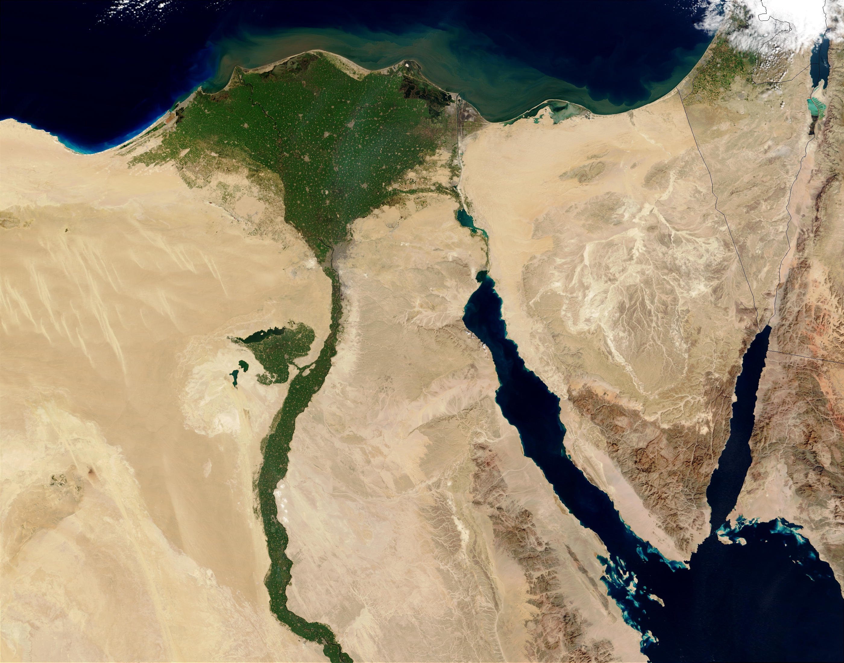 (Egypt)