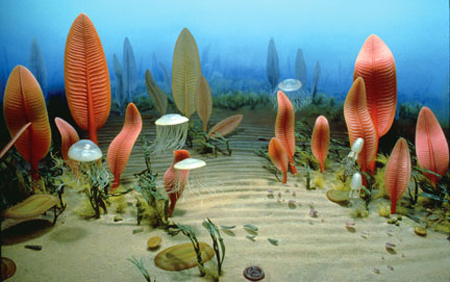 ediakay Море