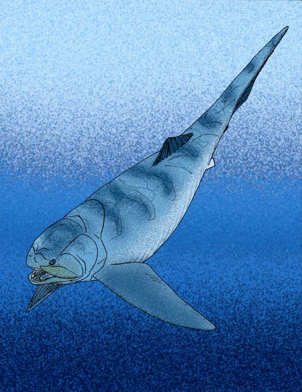 ordoviksky Titanichthys_agassizi Торическая панцирная рыба