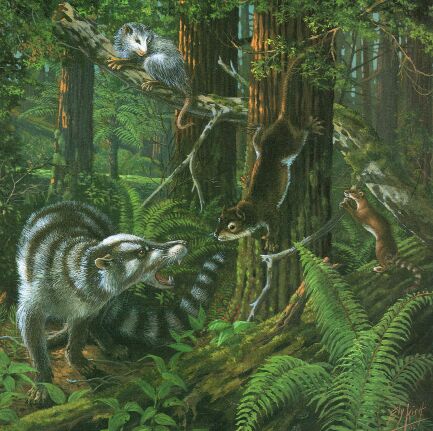 paleocen Обитатели леса