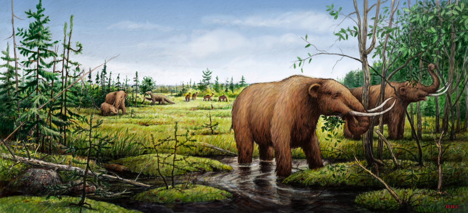 pleystocen Вымирание животных в конце плейстоцена